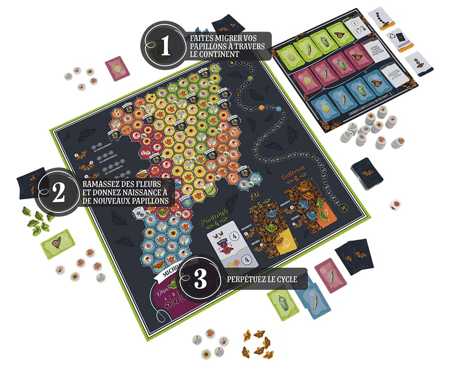 Mise en place du jeu Mariposas