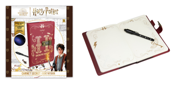 carnet secret harry potter d'arpeje CHPO016